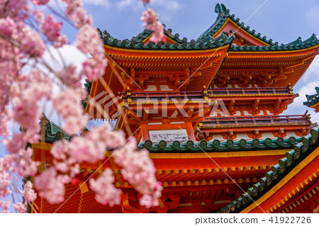 平安神宮,白鶴太郎和八重奏紅垂櫻櫻花(岡崎西天王町,京都市京都市左京區) 平安神宮,白鶴太郎和八重奏紅垂櫻櫻花(岡崎西天王町,京都市京都市左京區) 41922726