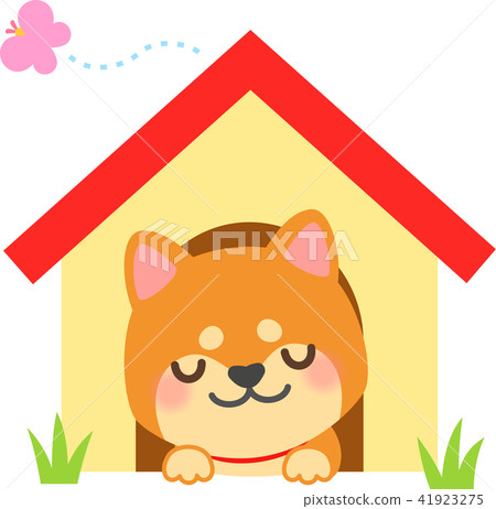 Shiba Inu睡在狗屋裡 41923275