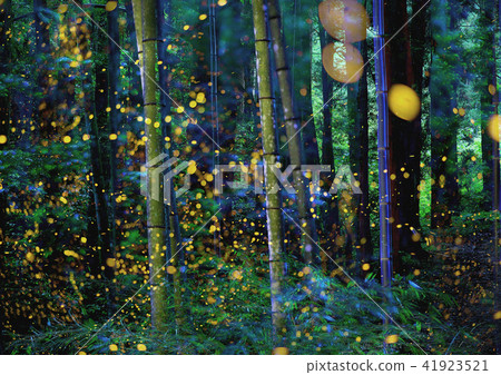 公主螢火蟲 公主螢火蟲 41923521