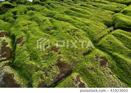 老梅綠石槽-北海岸及觀音山國家風景區 41923603