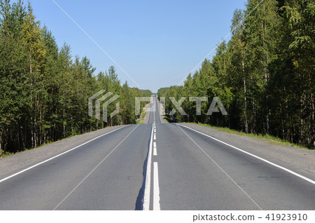Asphalt road through the forest Asphalt road through the forest 41923910