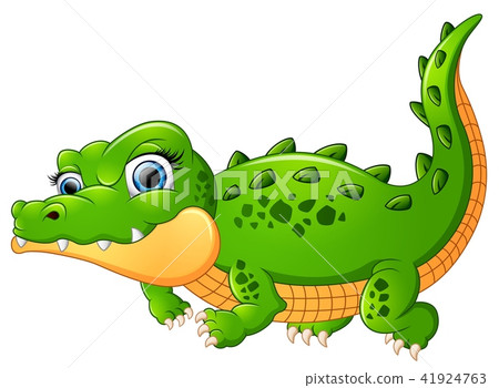 Crocodile cartoon isolated on white background - Stock Illustration  [41924763] - PIXTA