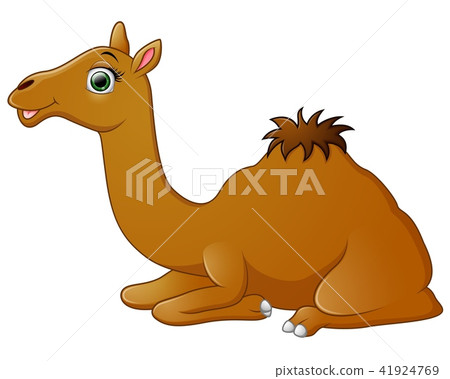 Happy camel cartoon lying down - Stock Illustration [41924769] - PIXTA