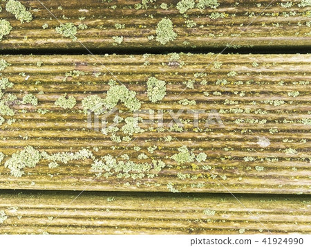 Wooden floor.Old board painted by protective paint Wooden floor.Old board painted by protective paint 41924990