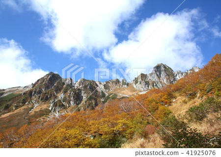 在晴朗的天氣和寶藏山脈，中央高山Komagatake Senjojiki美麗的秋葉，Kiso Komagatake山的壯麗景色 41925076