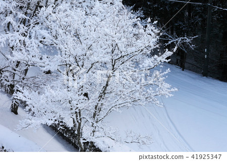 Snow scene of Myokenyama 41925347