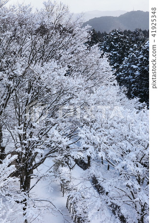 Snow scene of Myokenyama 41925348