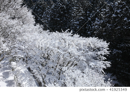 Snow scene of Myokenyama Snow scene of Myokenyama 41925349