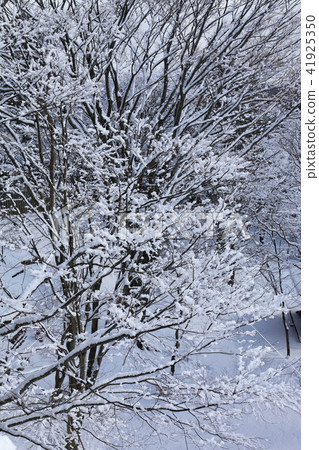 Snow scene of Myokenyama 41925350