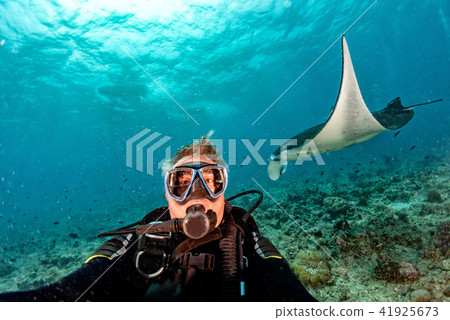 scuba diver and Manta in the blue ocean 41925673