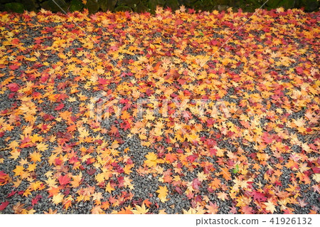 Nishiki carpet 41926132