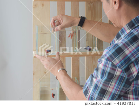Asian man choose to buy fighting fish from market 41927815