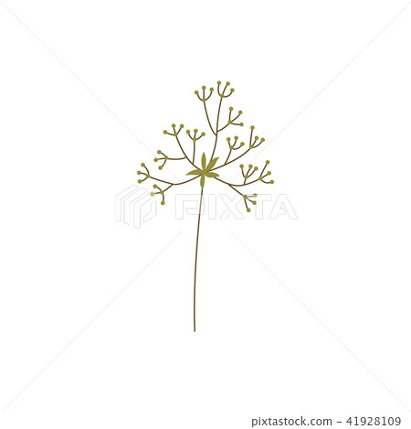 Green plant branch of leaves - natural floral element for design in flat style. 41928109