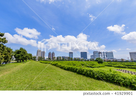 Scenery of Daiba Park Scenery of Daiba Park 41929901