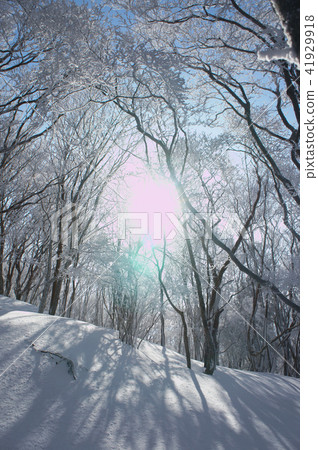 Light shining snowy mountains Light shining snowy mountains 41929918
