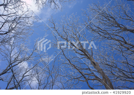 Scenery from snowy mountains, winter scenery 41929920