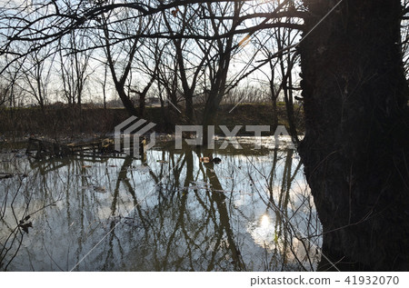 River water in a flood 41932070