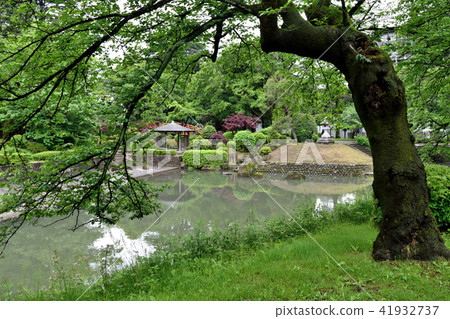 富山市松川公園的池塘 富山市松川公園的池塘 41932737