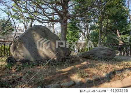 東京都港區龜塚公園 東京都港區龜塚公園 41933256