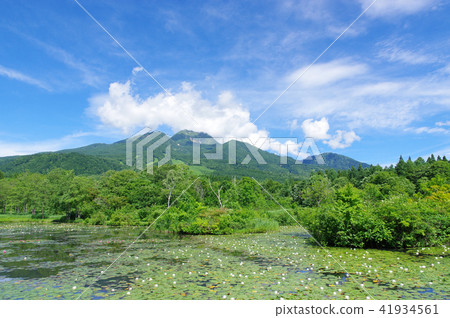 Summer's swimming pool Summer's swimming pool 41934561