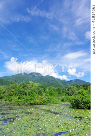 夏天的游泳池 41934562