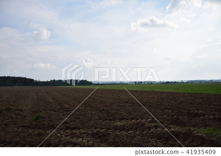 Beautiful landscape. Forest Beautiful landscape. Forest 41935409