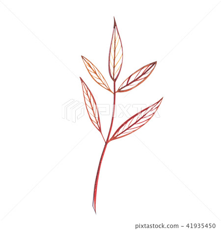 Autumn leaf. Autumn maple leaf isolated on a white background. Watercolor illustration. Autumn leaf. Autumn maple leaf isolated on a white background. Watercolor illustration. 41935450