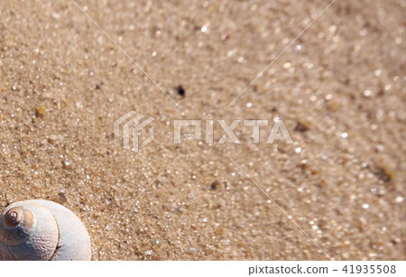 Sand background template Sand background template 41935508
