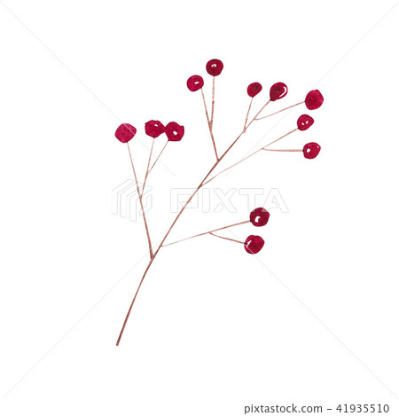 Hand drawn watercolor painting of autumn berries isolated on white background. Watercolor 41935510