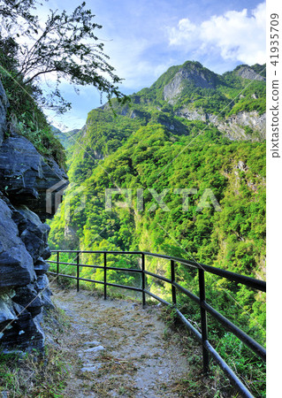 太魯閣國家公園 小錐鹿步道 峽谷 山 41935709