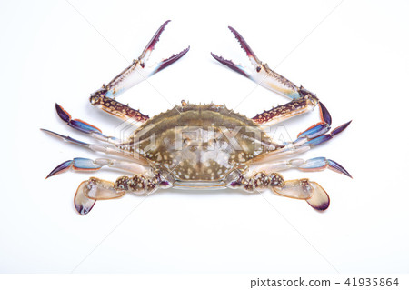 Cotton crab crab ingredients 41935864