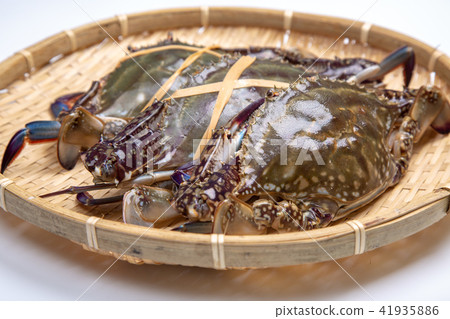 棉蟹蟹成分 41935886