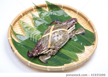 棉蟹蟹成分 棉蟹蟹成分 41935899