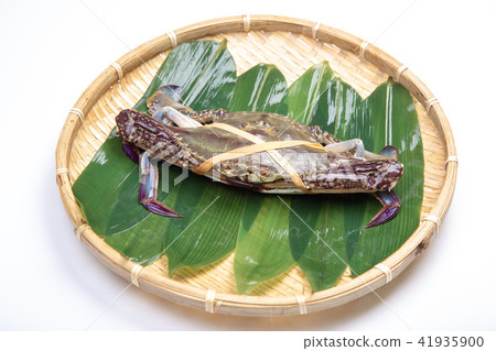 棉蟹蟹成分 41935900