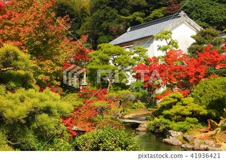 Chofu Garden 41936421