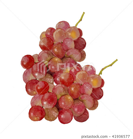Grape Kaiji 41936577