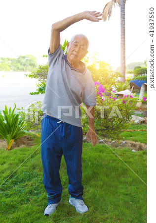 chinese senior performing tai chi on outdoor park chinese senior performing tai chi on outdoor park 41937550