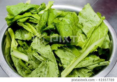 Underfoot of mustard Underfoot of mustard 41937789