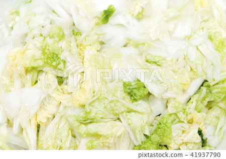 Salad of Chinese cabbage Salad of Chinese cabbage 41937790