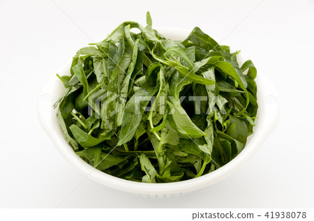 Leaves of a spira 41938078