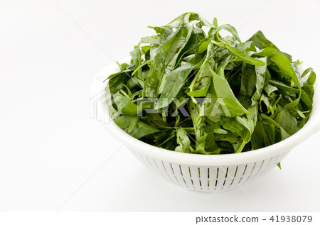 Leaves of a spira 41938079