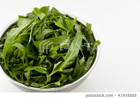 Leaves of a spira 41938088