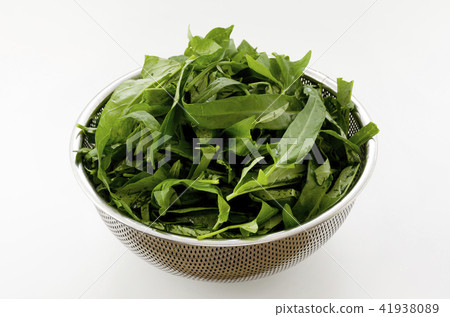 Leaves of a spira 41938089