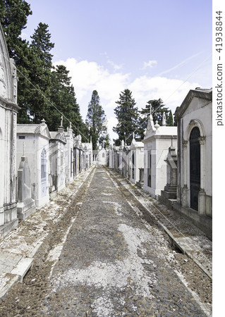 Old cemetery in the city of Lisbon 41938844