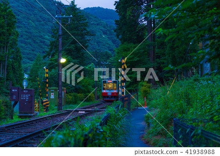 箱根Tozan鐵路和繡球花風景 箱根Tozan鐵路和繡球花風景 41938988