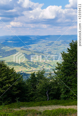 Juicy green trees and a valley in the distance. Pe Juicy green trees and a valley in the distance. Pe 41939411