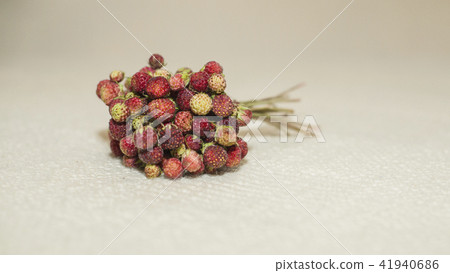 Bouquet of wild strawberry 41940686