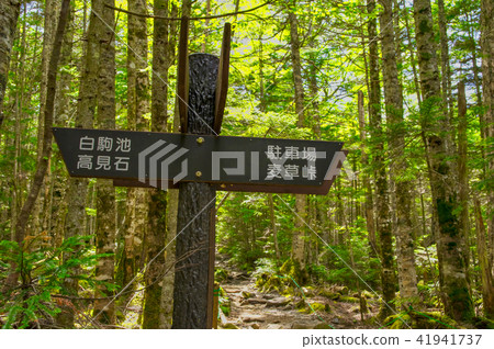 路標Shirakoma池塘 41941737