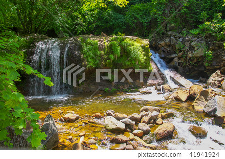 新鮮的綠色Yokotani谷薄霧落瀑布 41941924