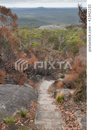 Mount Frankland National Park, Western Australia Mount Frankland National Park, Western Australia 41942285